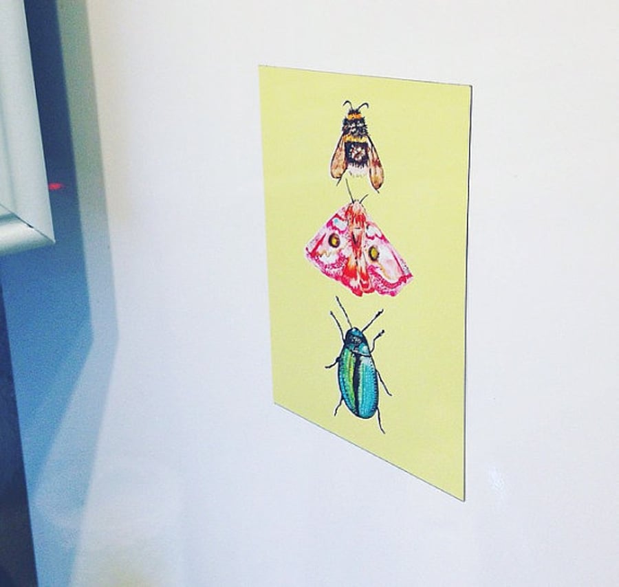 Fridge Magnet Postcard , Nature Print, Bee, Butterfly, Beetle, Art, For Her