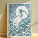 Sacred Ibis Art Print Black
