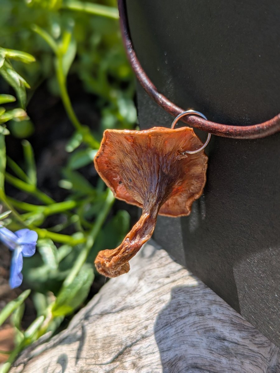 Real Chanterelle Mushroom Pendant Antique leather necklace 