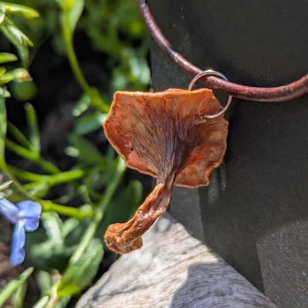Real Chanterelle Mushroom Pendant Antique leather necklace 