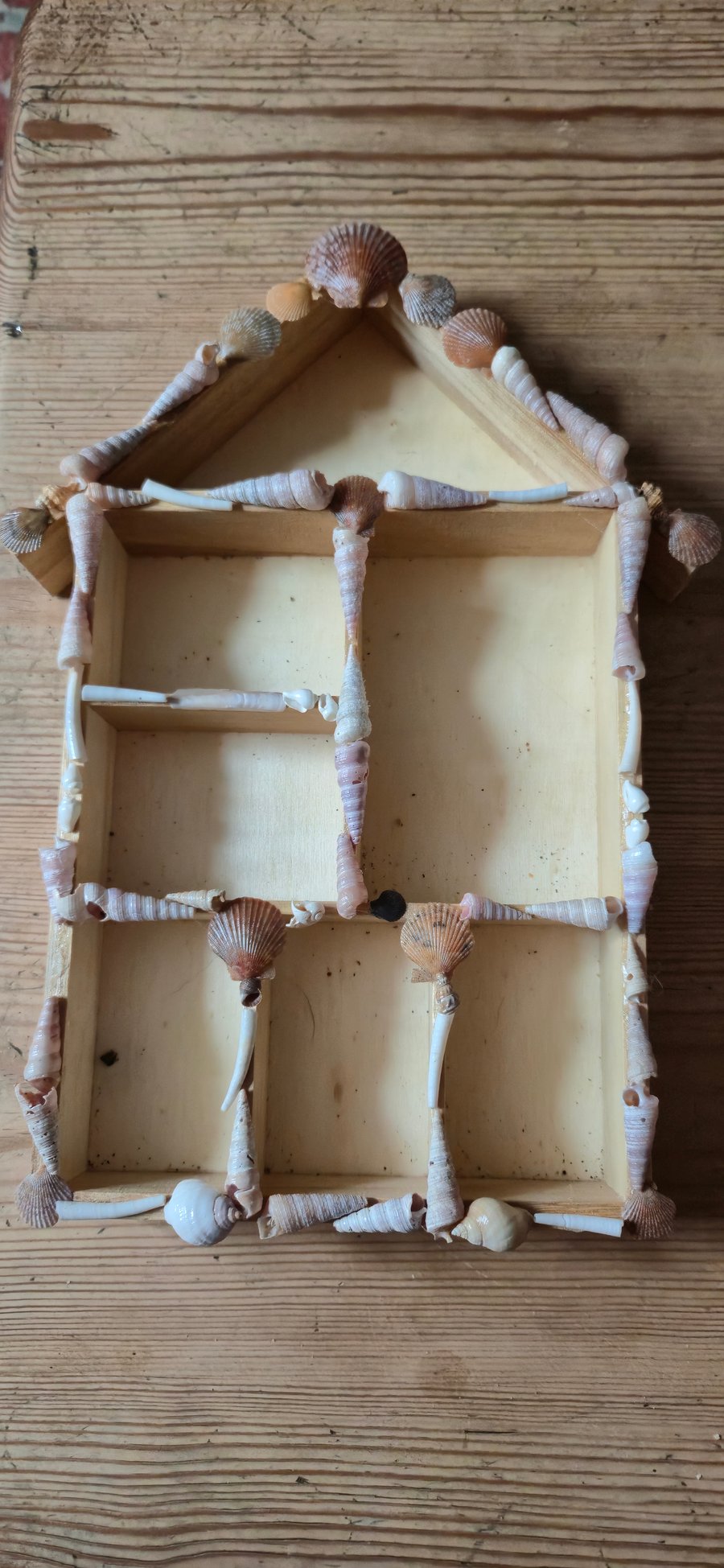 Shell decorated shelf display