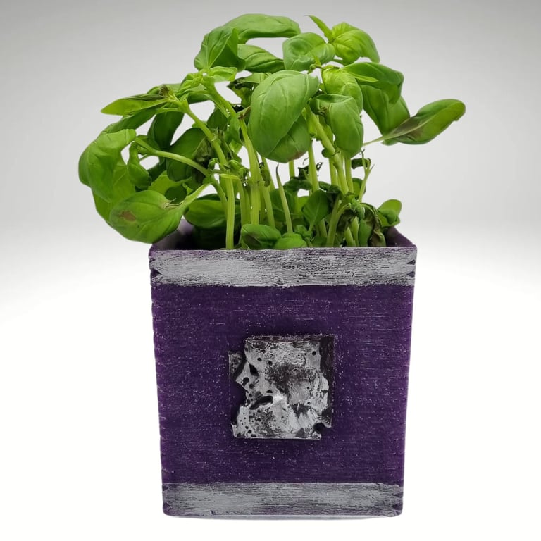Plant Potholder Vase Square Purple Wax Container With Silver Decoration 