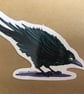 Crow cartoon illustration sticker