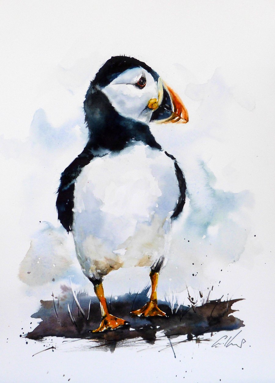 A Puffin, Original Watercolour Painting.
