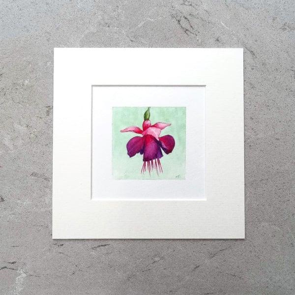 Original Art Miniature Watercolour Painting Flower 'Fuchsia' 8" x 8" Mount