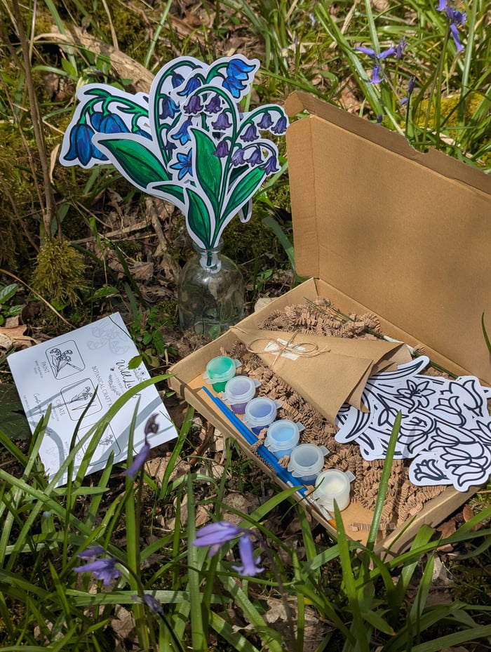 Wild lived studio
