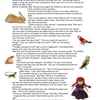 Reserved for Ali - Violet and the Animal Man Story Card 