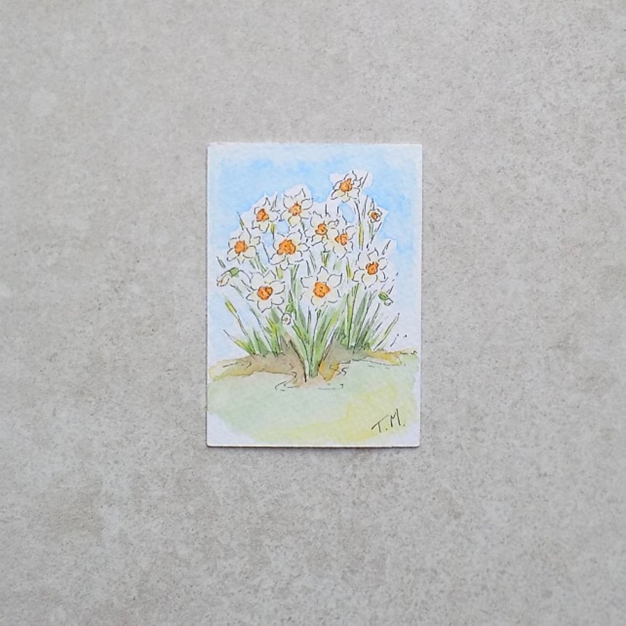 SALE   Watercolour ACEO - Daffodil Garden