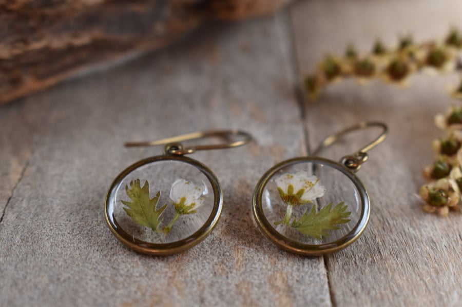 Hypoallergenic Real Flower Bud Resin Earrings, Titanium Ear Hooks