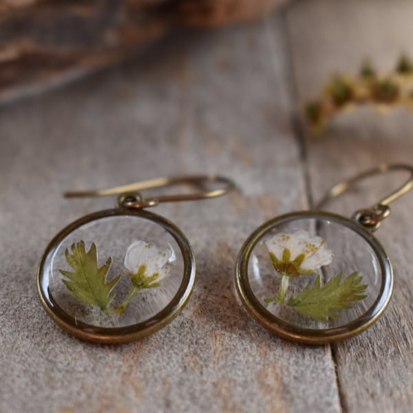 Hypoallergenic Real Flower Bud Resin Earrings, Titanium Ear Hooks
