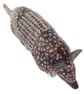 Armadillo Ceramic Ornament - CLEARANCE PRICE - Image 3