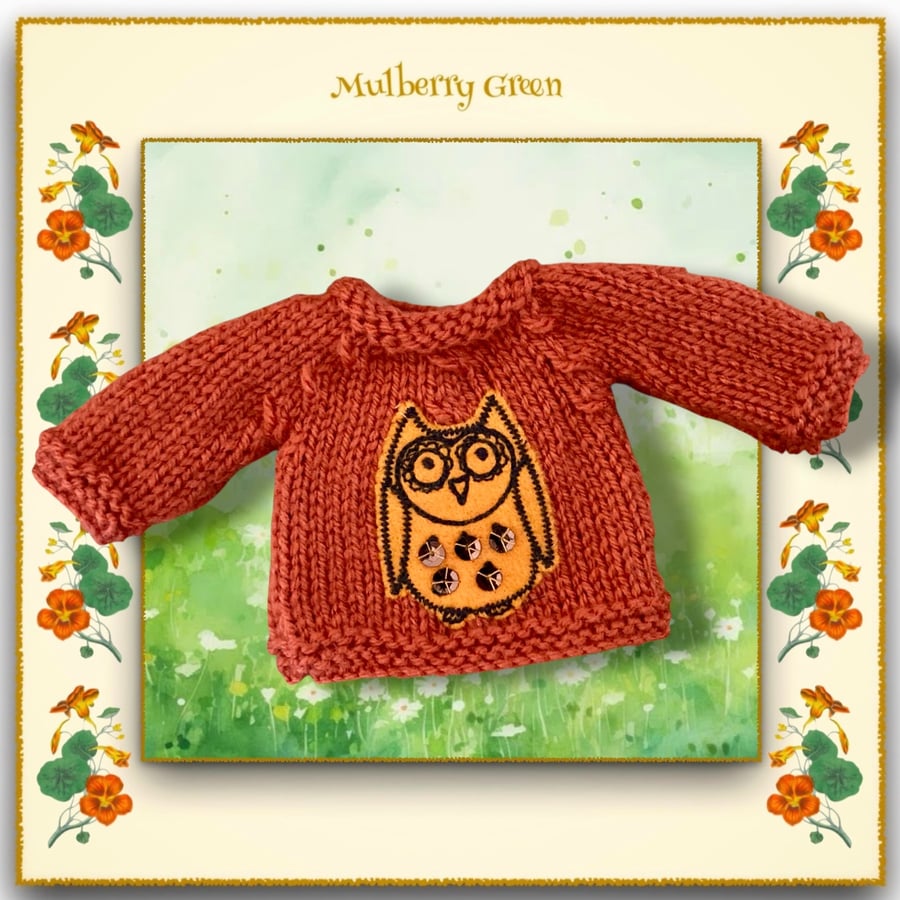 Little Owl Jumper
