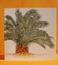 PEEPING PALM TREE CARD BLANK FOR YOUR OWN MESSAGE - Image 4