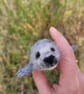 Storm the Baby Seal Figurine, Handcrafted Wool Needle Felted Animal with Soul