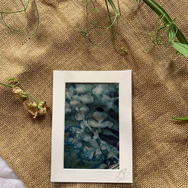 Wet Cyanotype Leaves