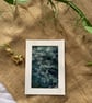 Wet Cyanotype Leaves - Image 1