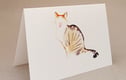 Cat Cards & Flower cards