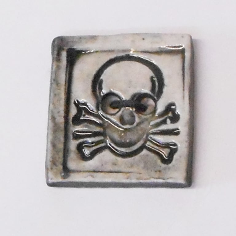 Buttons Black and white Square Porcelain Skull design.