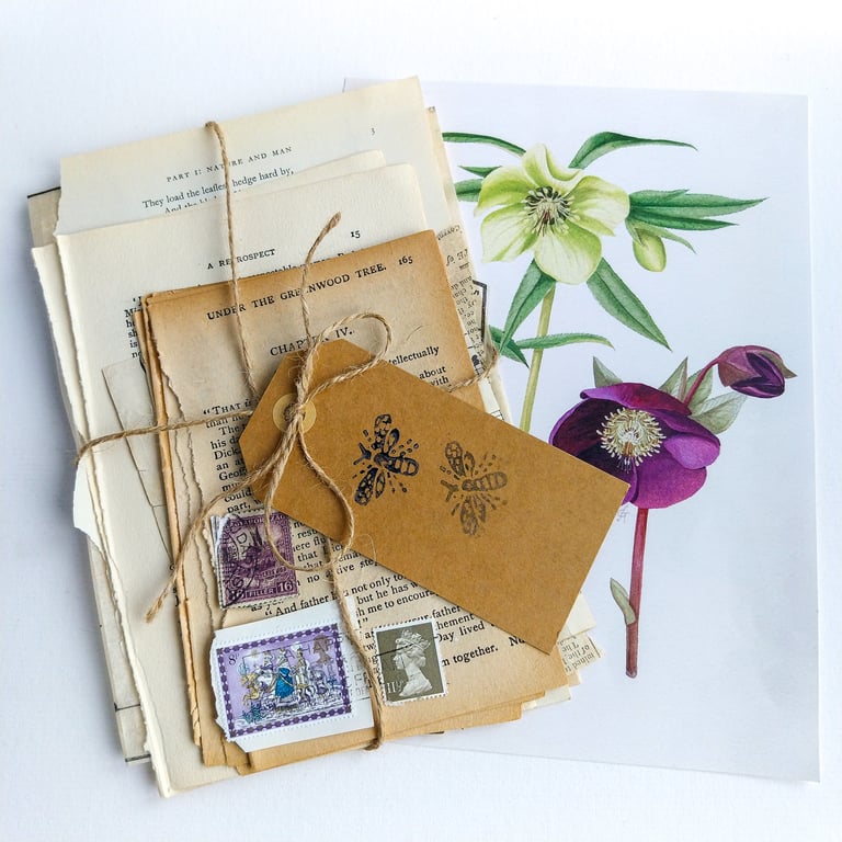 Winter Botanical Ephemera Packs, Journaling, Collage and Scrapbooking