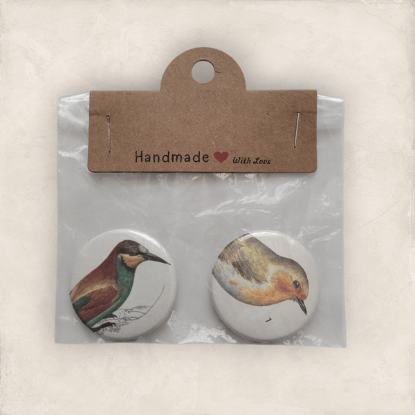 Upcycled Bird Book Badge Set 