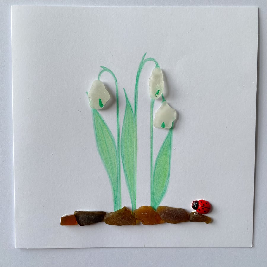 Cornwall sea glass snowdrop design greeting card 