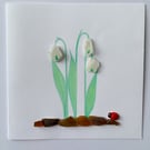 Cornwall sea glass snowdrop design greeting card 
