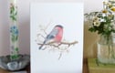 Cards and Stationery