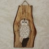 Tawny owl panel  