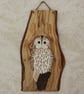 Tawny owl panel  