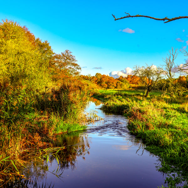 Photographic Greetings Card featuring Scenic Autumnal Views of the River Wensum.