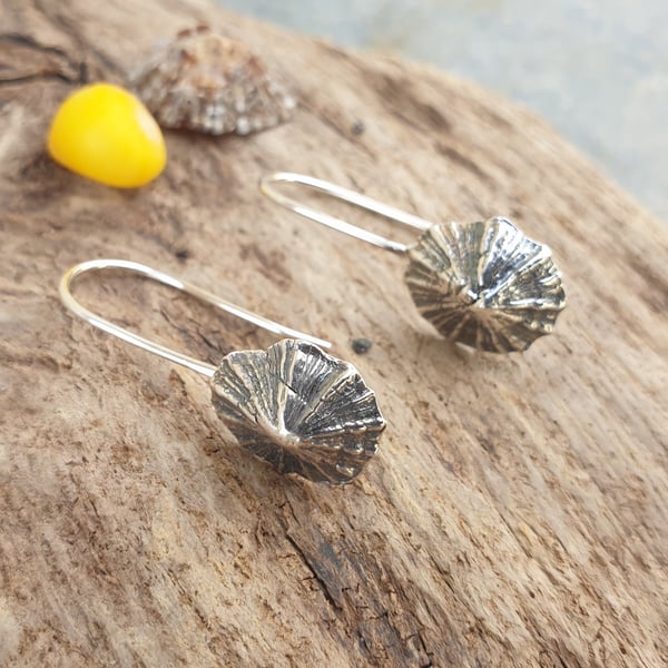 Silver limpet earrings - wires