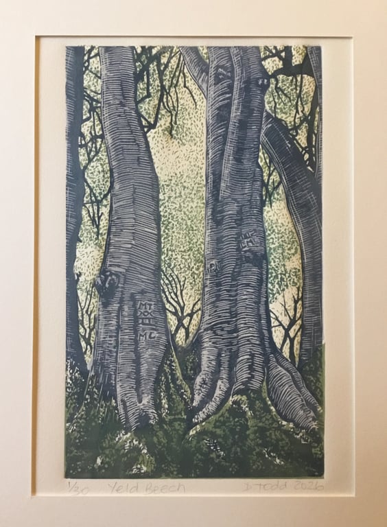 'Yeld Beeches, secrets' Linocut Print