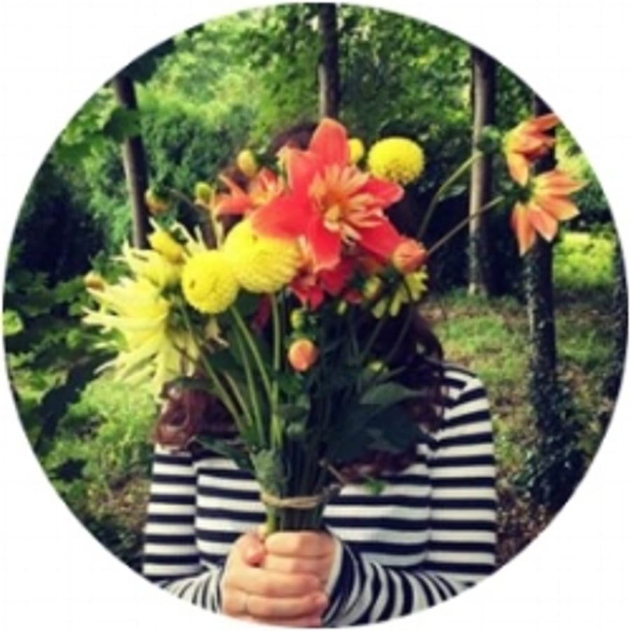 Hayley Potter Studio 