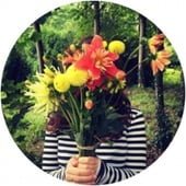 Hayley Potter Studio 