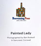 Blank Card A6 Portrait - Painted Lady - Image 2