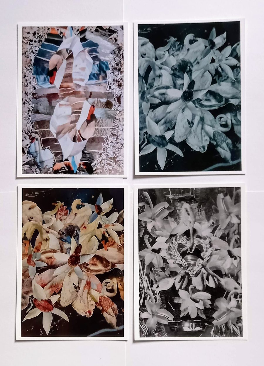 Swan Cards - set of 4 with Gloss finish