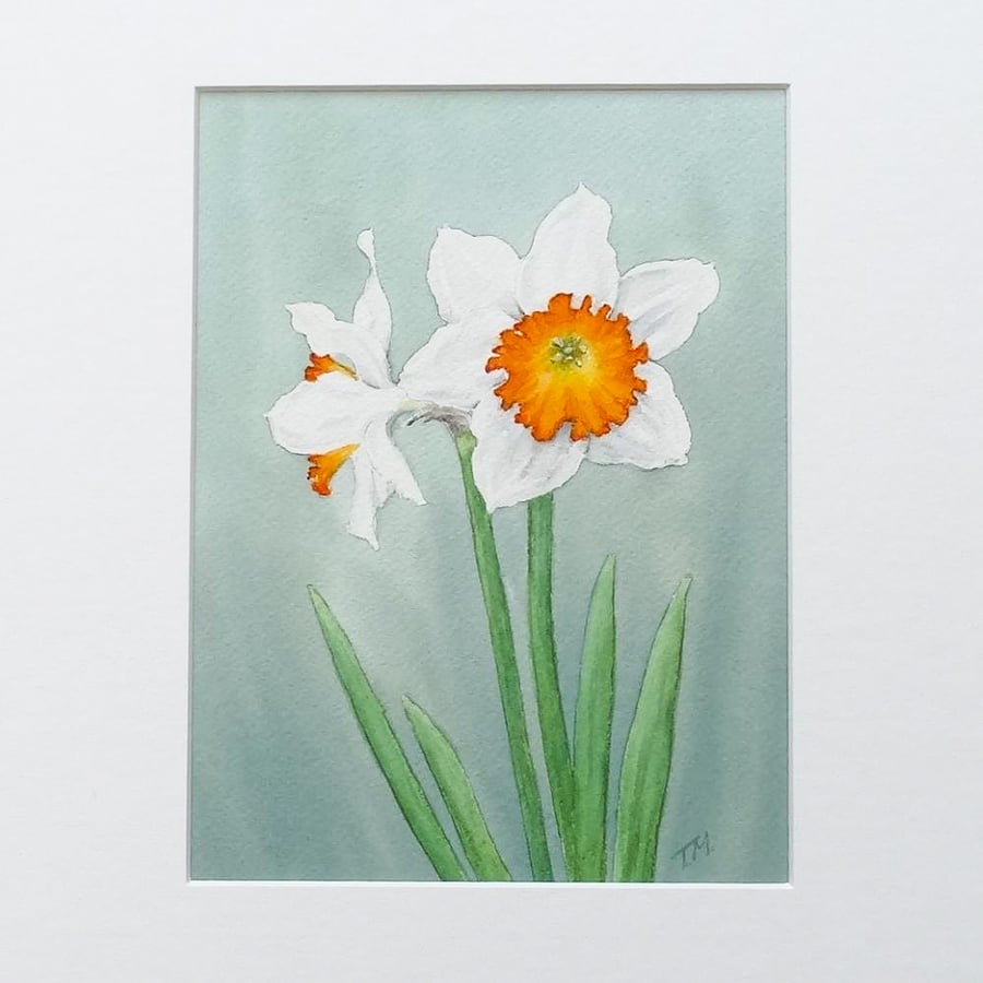 Origninal Watercolour Floral Painting Daffodil Art