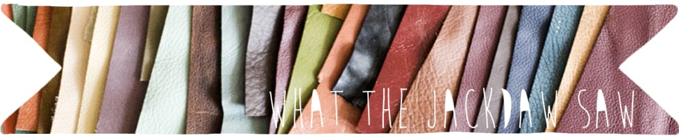 What the Jackdaw Saw