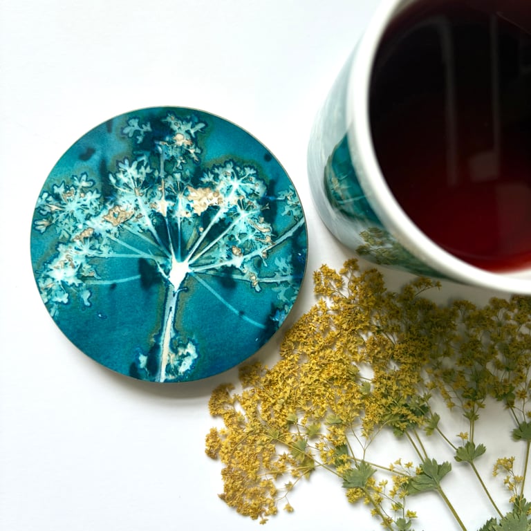 Cyanotype Seed Head Circular Coaster Set x4 (light wood finish)