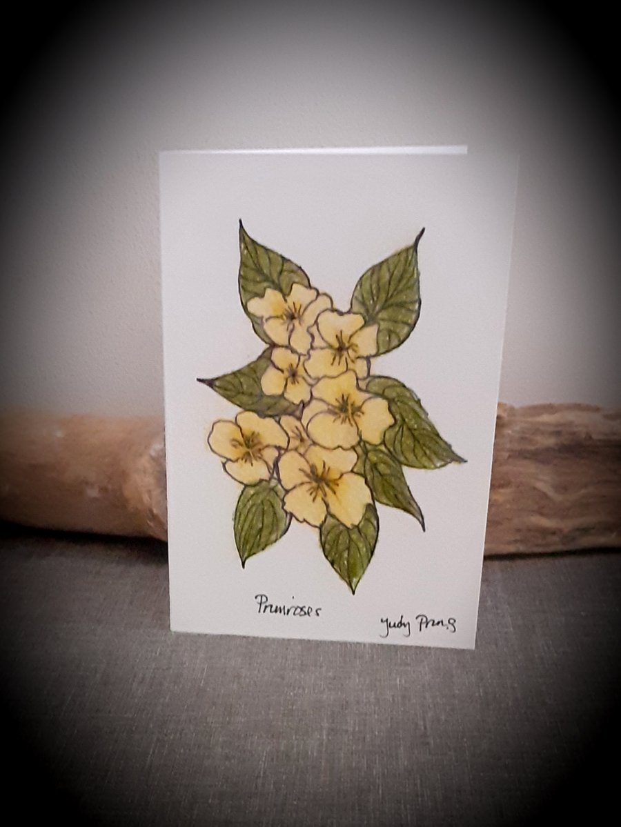 Hand drawn coastal primroses flower cards 