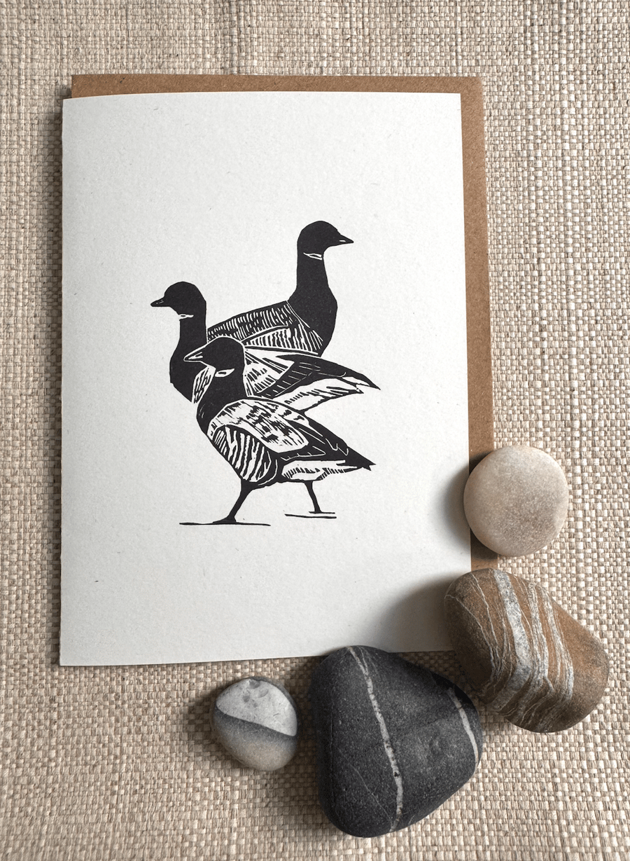 Three Brent Geese Greetings Card