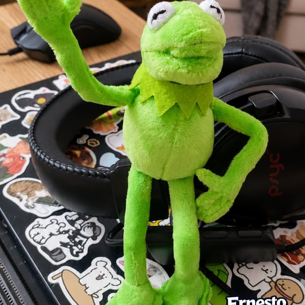 Carmelo Handmade Poseable Green Frog Plush Collectable Frog Friend Plant a Tree
