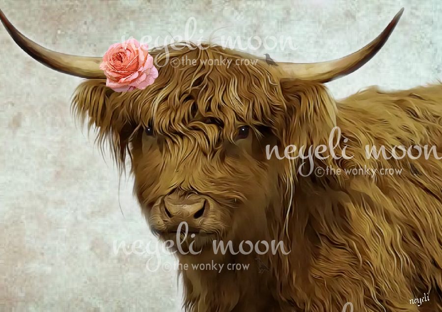 Rosie Highland Cow print of original oil artwork by neyeli 