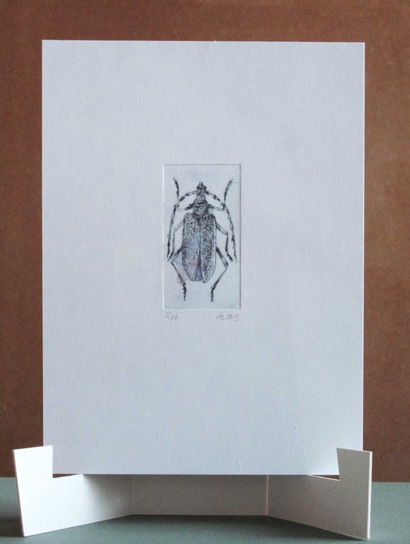 Original Mini Print Beetle 