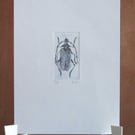 Original Mini Print Beetle 