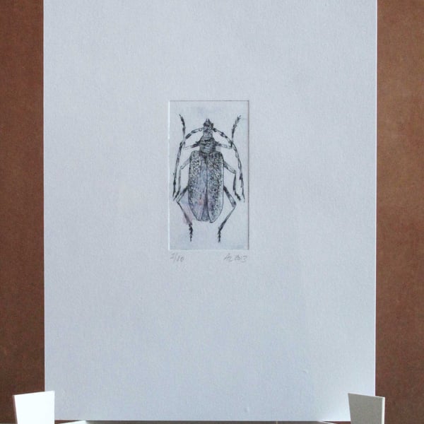 Original Mini Print Beetle 