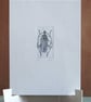 Original Mini Print Beetle 