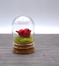 small glass bird cloche keepsake gift - Image 3
