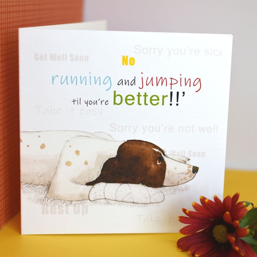 Dog Greetings Card, Get Well Soon, Rest Up, Sorry Your Not Well, Springer Spanie