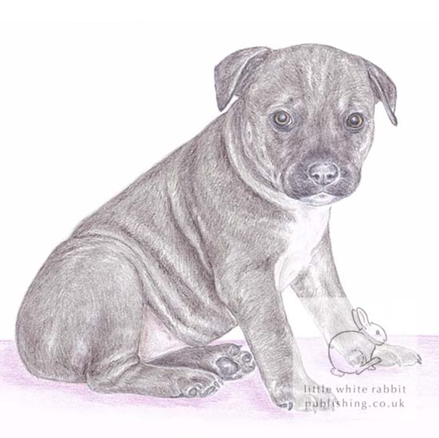 Max the Staffy - Blank Card